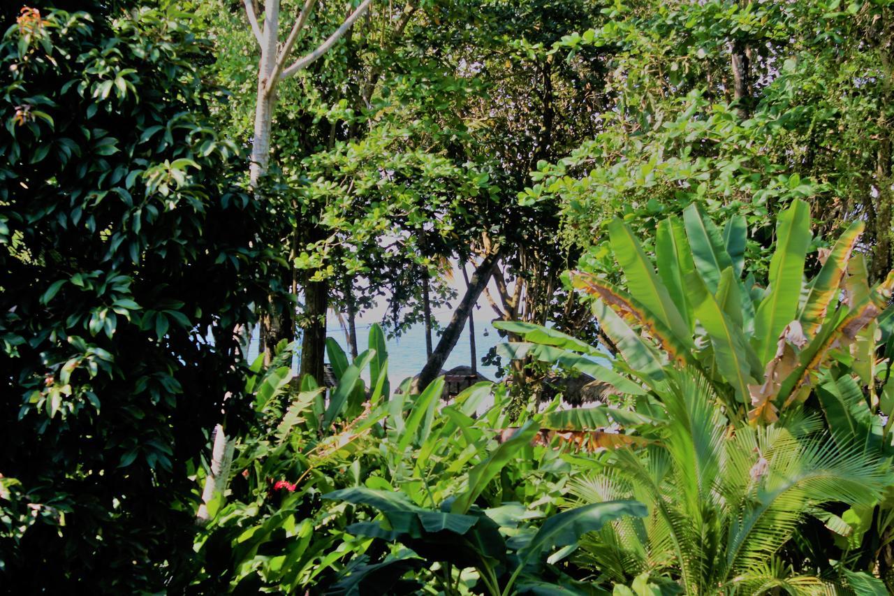 Отель Casa Natural Puerto Viejo Puerto Viejo de Talamanca Экстерьер фото